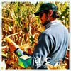 AgroInsumos Córdoba