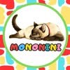 Tienda Mononini